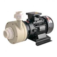 PA6900 Plastic Acid Pumps