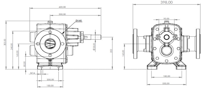 DT-20 Dişli Pompa Flanşlı