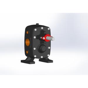 DT-250 Dişli Pompa Flanşsız